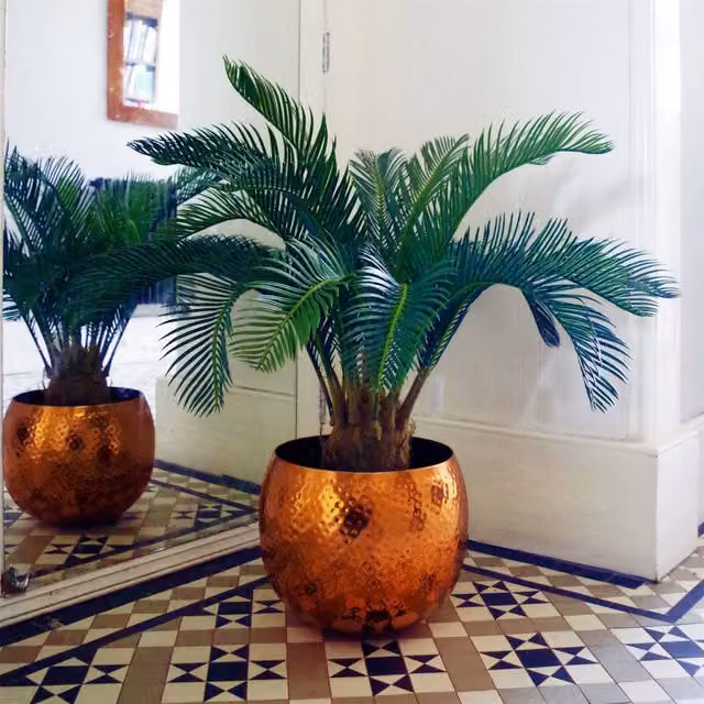 Botanik Green Artificial Cycas Palm Tropical Tree Height: 80 cm