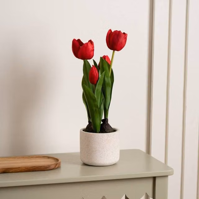 Scottish Everlastings Ltd Red Tulips in a Round Concrete Pot, Height: 36 cm