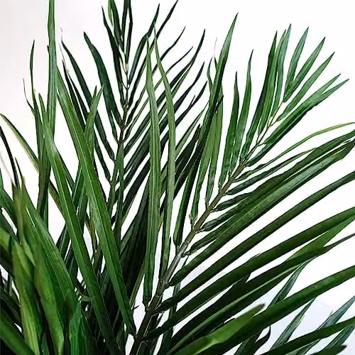 Leaf Design UK 130cm Green Areca Palm Artificial Tree – 4