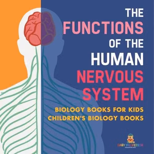 Baby Professor The Functions of the Human Nervous System Biology Book for Children, Multicolour, 21.59 x 21.59 cm