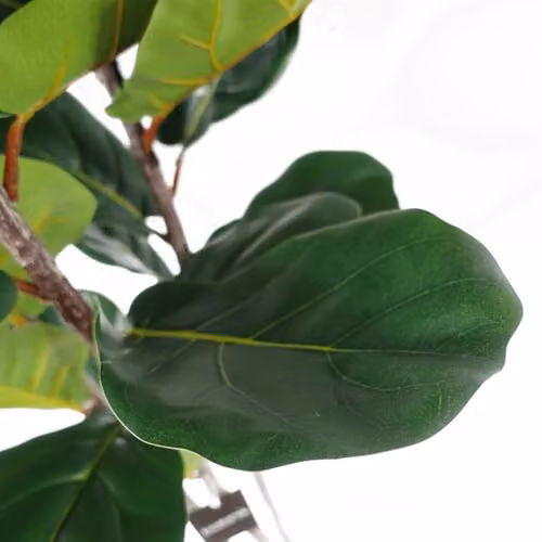 Botanik UK Premium 180 cm Artificial Fiddle Fig Tree in Green with Black Plastic Pot – 6