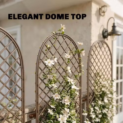 Outsunny Decorative Garden Trellis with Dome Top for Climbing Plants, Brown Wood Finish – 4