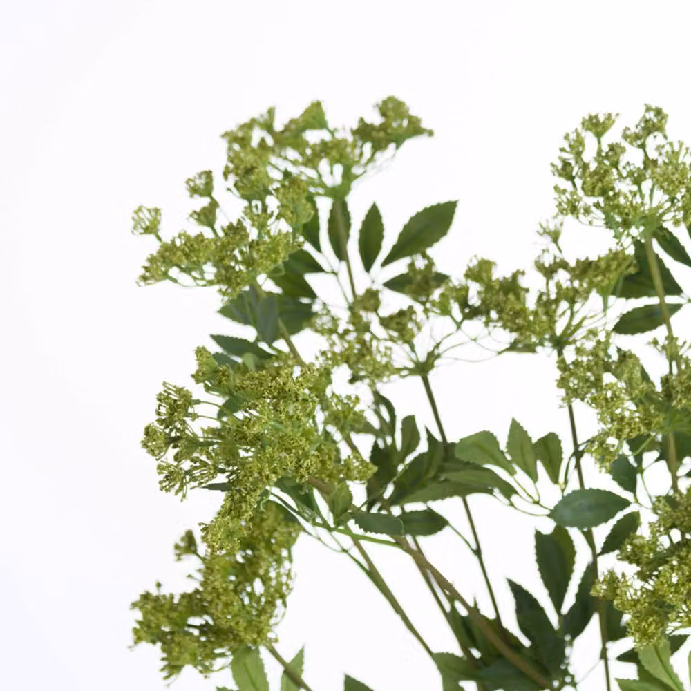 Lemon Pavilion Faux Cow Parsley Ammi Artificial Plant, Green, W: 10 cm, D: 10 cm, H: 100 cm – 4