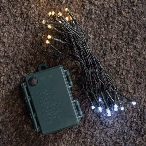 Samuel Alexander Battery Operated Multi-Action Christmas LED String Lights with 24 White and Green Lights