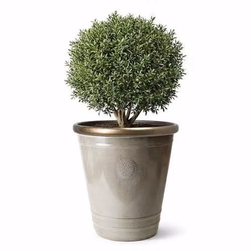 Jack Stonehouse JSH 75L Greco Roman Logo Outdoor Garden Planter, Grey with Gold Brass Rim, Sandstone Effect Recycled Plastic, Diameter: 53 cm
