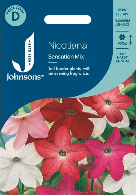 Johnsons Seeds Nicotiana Sensation Mix Multicolour Flower Seeds