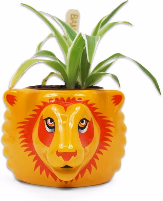Harry Potter Gryffindor Ceramic Tabletop Plant Pot in Yellow