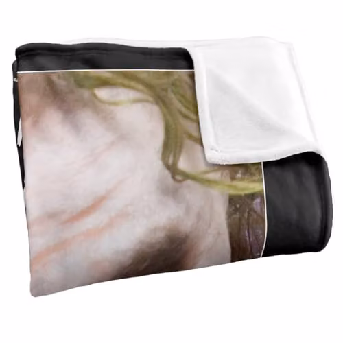Warner Bros. Dark Knight Joker Silky Touch Super Soft Fleece Throw Blanket, Multicolour, W: 152.0 cm x D: 127.0 cm x H: 127.0 cm – 2
