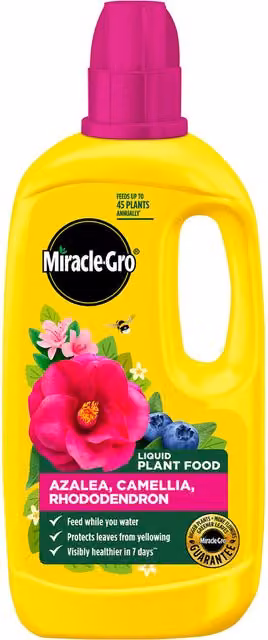 Miracle Gro Ericaceous Concentrated Liquid Plant Food for Ornamental Gardens, 180 ml
