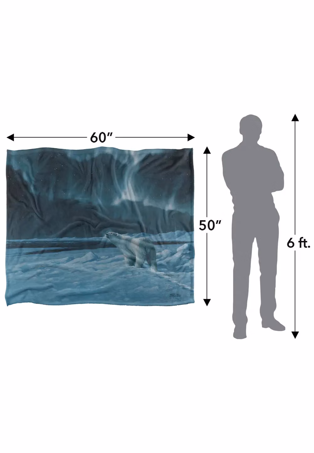 Wild Wings Polar Night Light 2 Silky Touch Super Soft Fleece Throw Blanket in White, W/D/H: 152 x 127 cm – 6