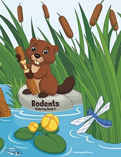 Rodents Colouring Book 3: Volume 3 by Createspace, Multicolour