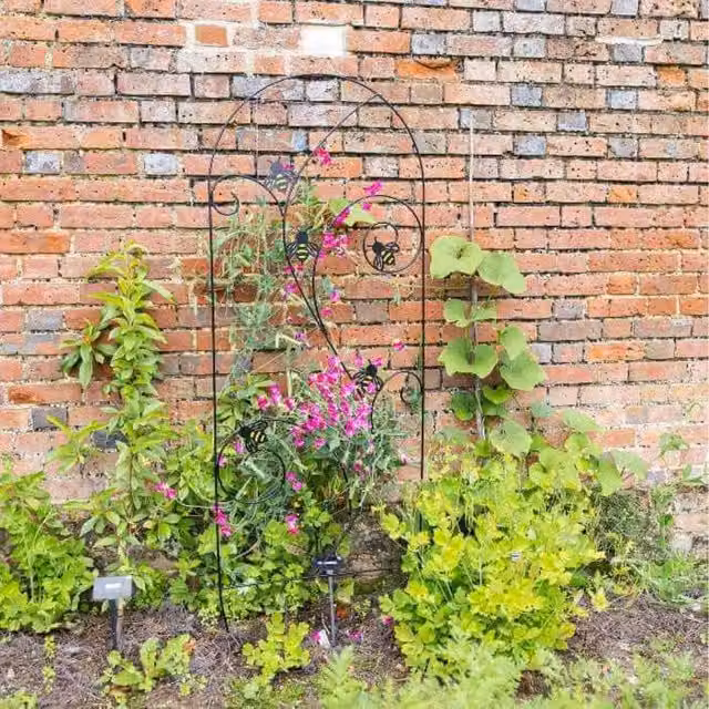 Primrose Bee-Conscious Classic Steel Garden Plant Support Trellis in Silver or Black
