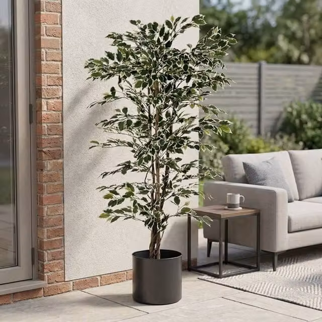 Garden Greatness Realistic Variegated Ficus Potted Tree in Green and Multicolour