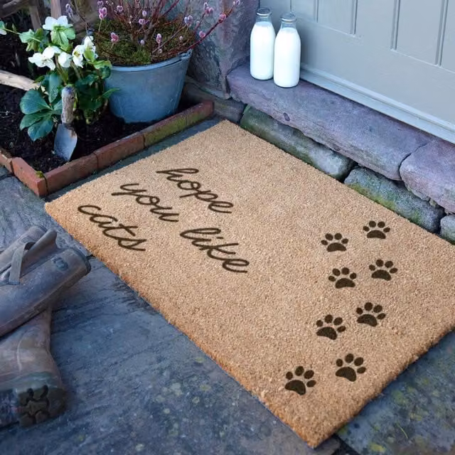 Artsy Mats Hope You Like Cats Doormat, Brown, W: 90 cm, D: 60 cm – 1