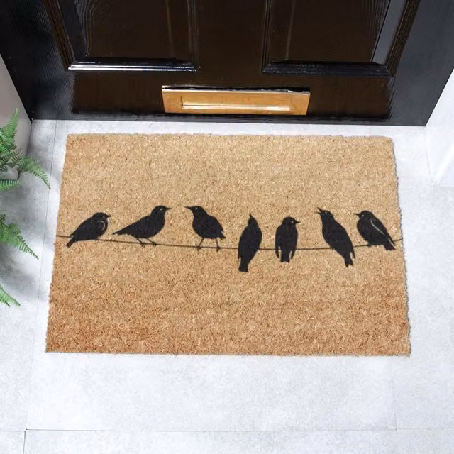Artsy Mats Birds On Wire Doormat in Brown, W/D: 60 x 40 cm