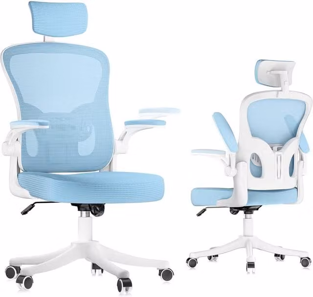 Gartistgo Ergonomic Mesh Office Chair in Blue with Adjustable Headrest and Lumbar Support