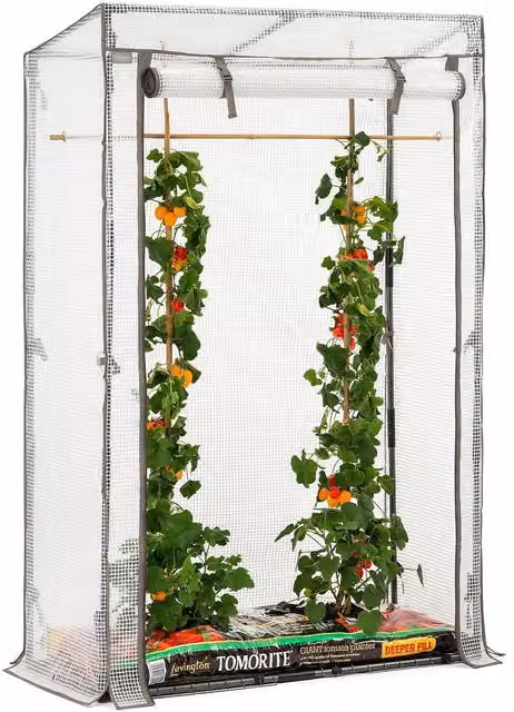 Christow Single Tomato Grow Bag Garden Greenhouse with Clear PE Mesh Cover