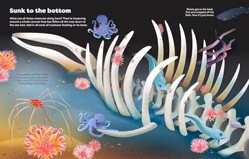 Usborne Big Sticker Book Weird Deep Sea Creatures, Multicolour – 2