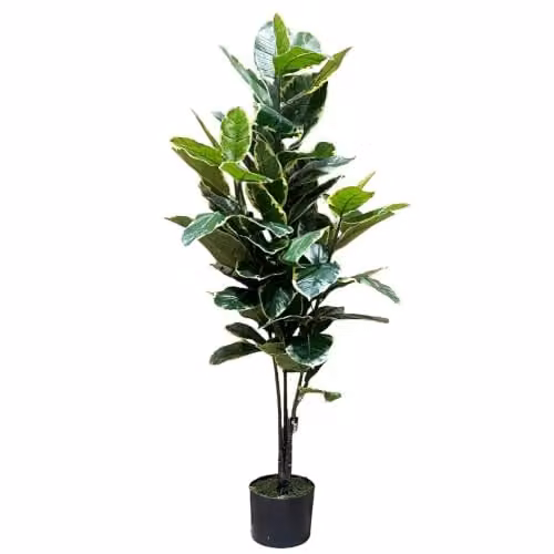 Botanik Green Artificial Rubber Tree, Height: 120 cm – 2