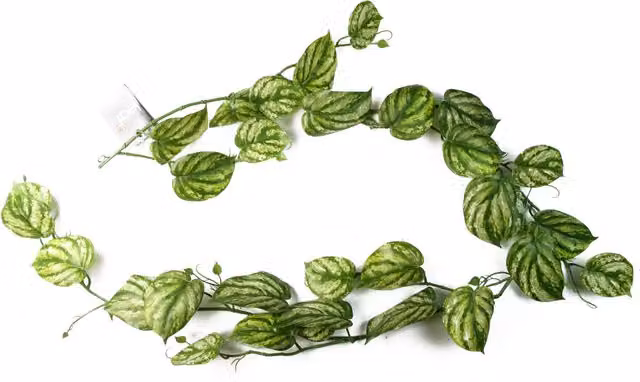 Artificial Hanging Trailing Devil's Ivy Green Plastic Plant