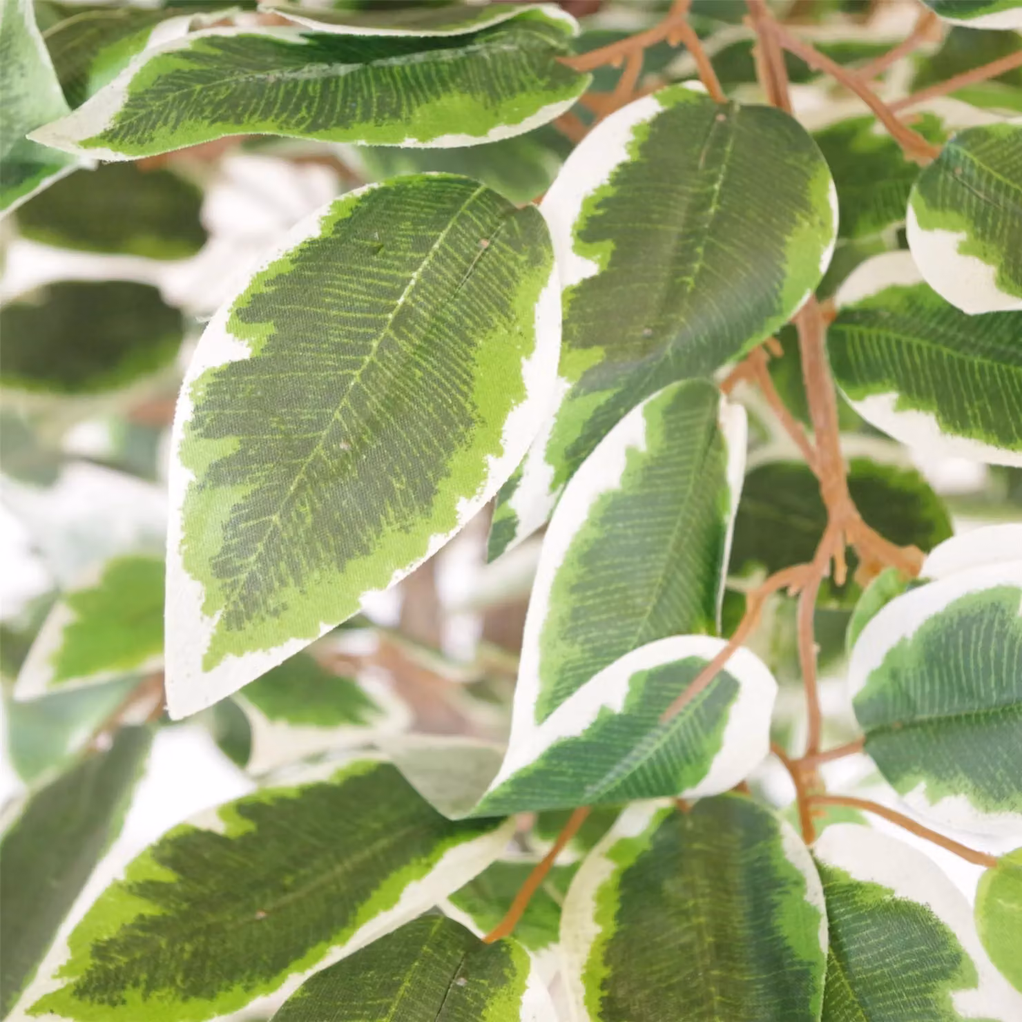 Leaf 130cm Artificial Ficus Tree with Gold Planter in Green and White – 2