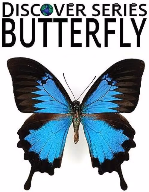 Xist Publishing Butterfly Hardcover Book in Multicolour and Blue
