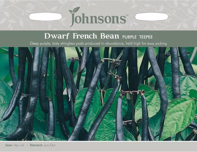 Johnsons Purple Teepee Dwarf French Bean Vegetable Seeds