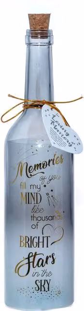 Boxer Gifts Memories Fill My Mind Starlight Glass Bottle in Grey