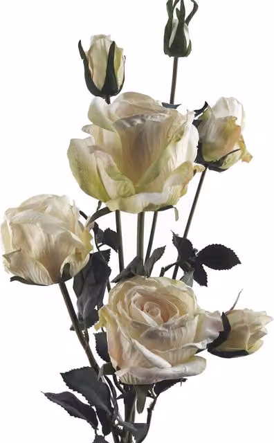 White Cream Rose Artificial Flower Spray with 4 Flowers and 3 Buds, Height: 60 cm