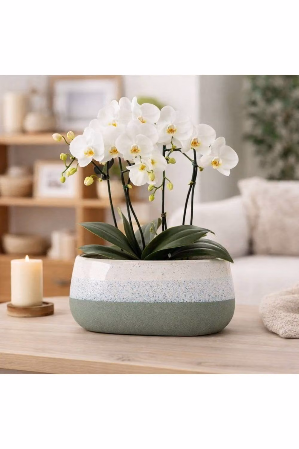 KDMD Hortus Green and White Bordeaux Ceramic Stoneware Pot, H 13 cm x Dia 26 cm – 3