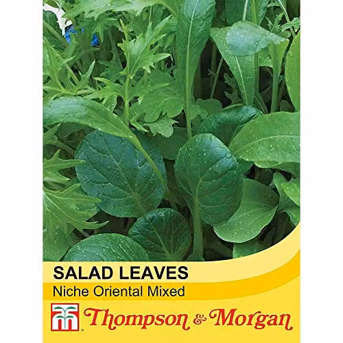 Thompson & Morgan Niche Oriental Mixed Salad Leaves Seeds, 500 Seeds – 2