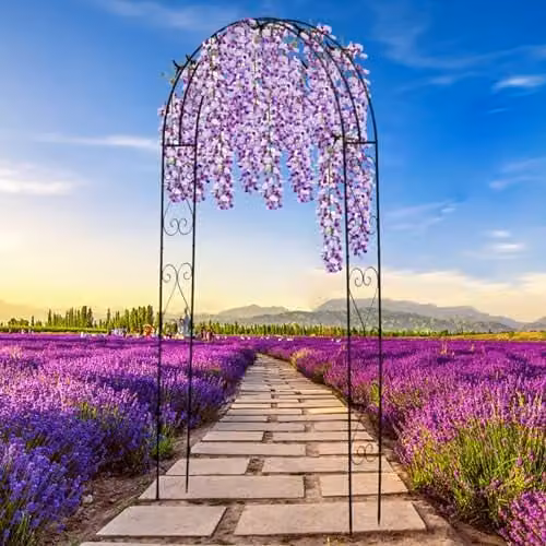 Gr8 Garden Black Metal Decorative Curly Garden Archway for Climbing Plants, H 240 x W 120 x D 25 cm – 4