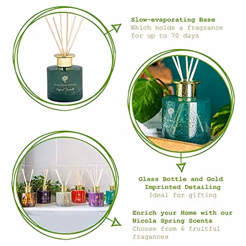 Nicola Spring Sage & Seasalt Scented Reed Diffuser Set, Pack of 3, 200ml per Bottle, Green Glass Jars – 2