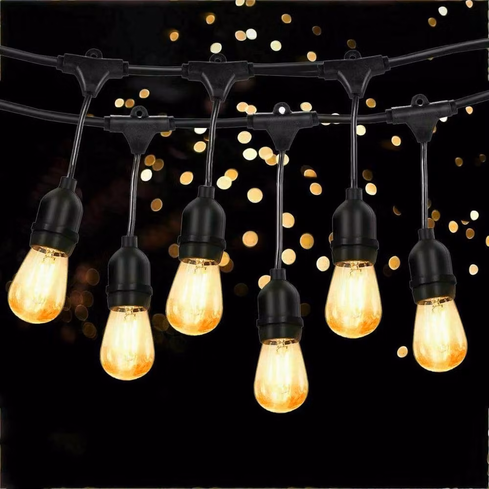 SPETLEK Black Outdoor Festoon String Lights with 10 Warm White Bulbs – 3