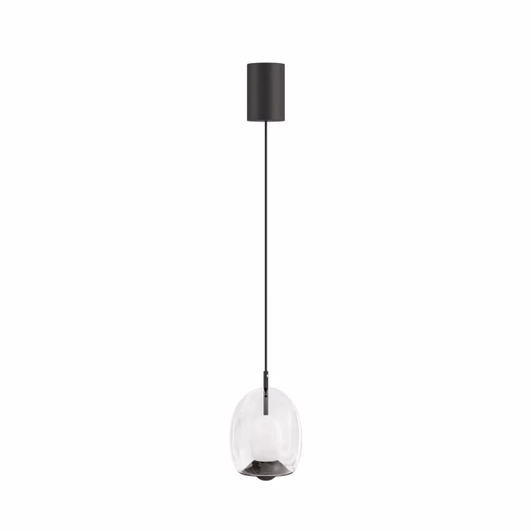 Dome Deco OTIS II Transparent Glass and Black Metal Pendant Light