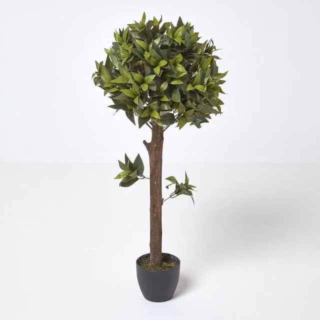 Homescapes One Ball Bay Topiary Tree, Green, Height: 91.44 cm