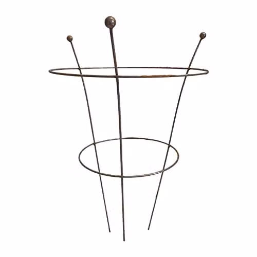 Samuel Alexander Set of 2 Steel Garden Plant Supports in Silver and Brown, W/H: 40 x 54 cm – 2