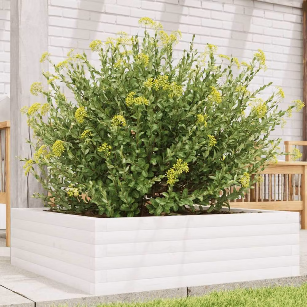 Berkfield Home Garden Planter in White Solid Wood Pine, W/D/H: 80 x 80 x 23 cm – 2