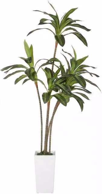 Kelvenix Artificial Green Dracaena Tree, Height: 182 cm – 1