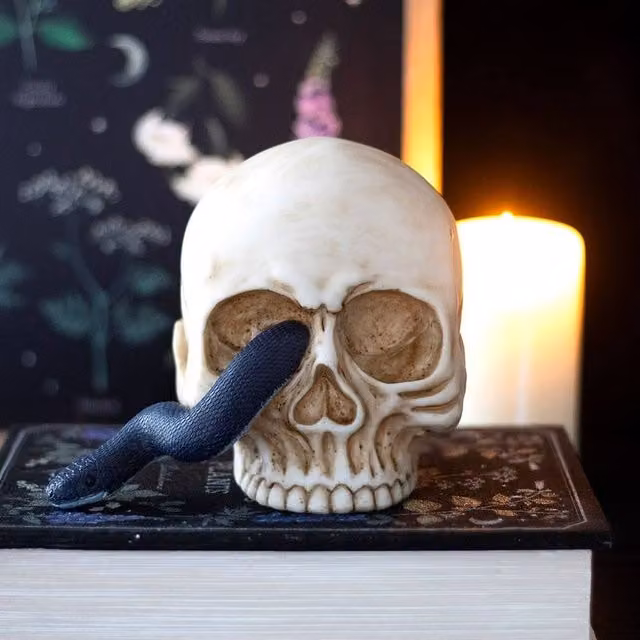 Uniqueful Multicolour Skull Ornament with Snake, Height: 15 cm – 1