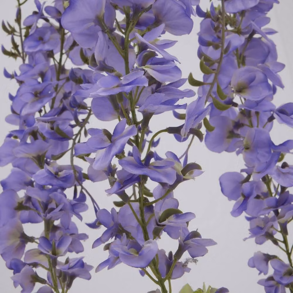 Lemon Pavilion Purple Wisteria Spray Single Stem Flower, Height: 180 cm, Green – 2