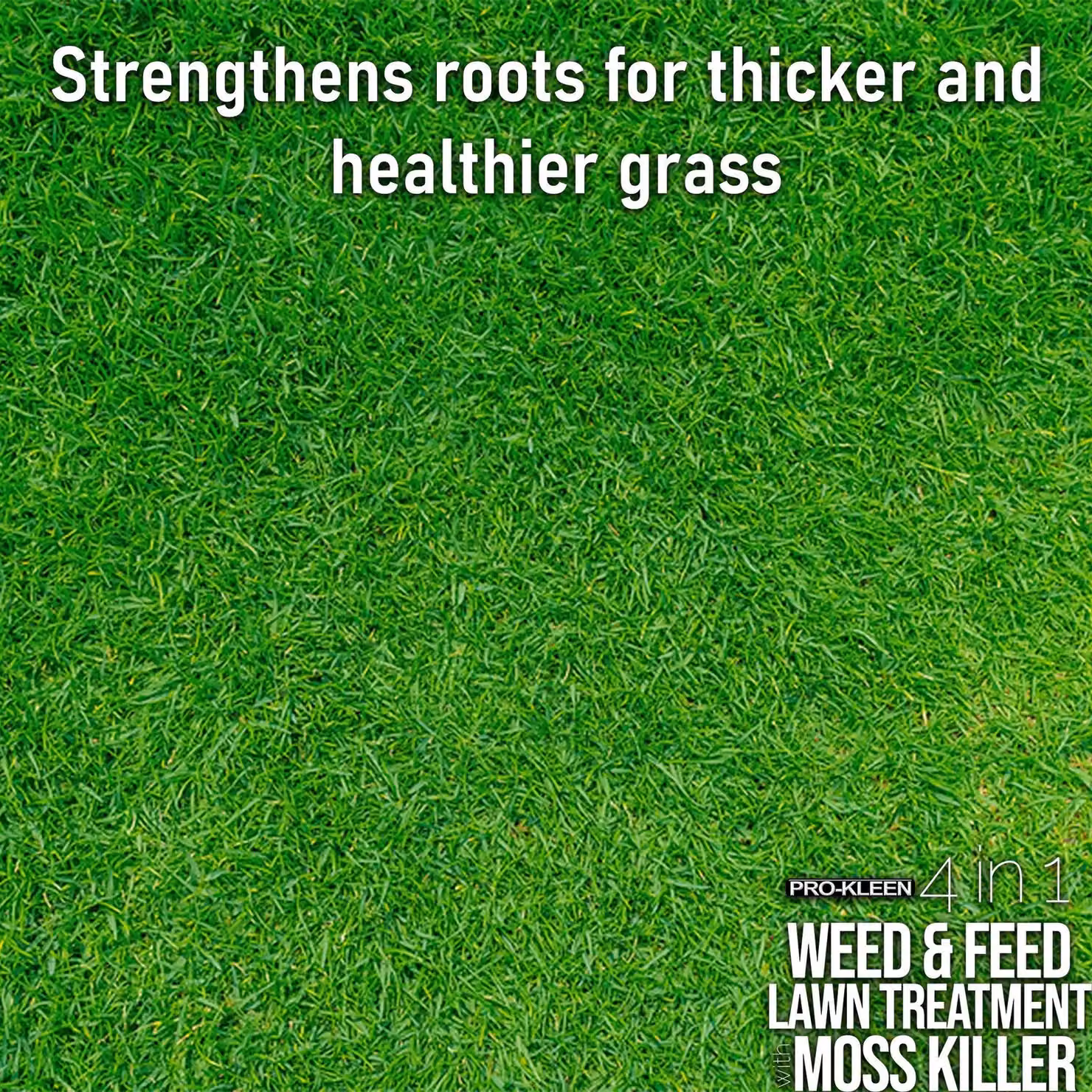 ProKleen 4 in 1 Weed and Feed Lawn Treatment with Moss Killer, 7.5 kg – 2