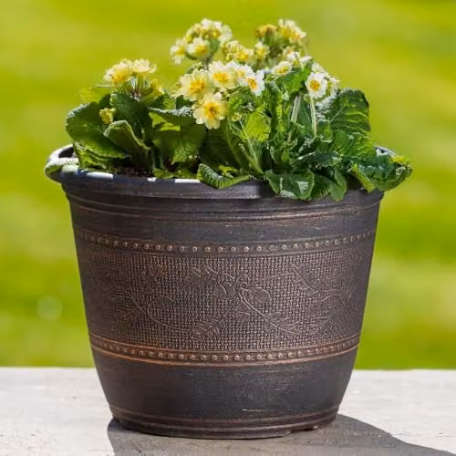 YouGarden Pair of Bronze Acorn Planter Tubs, Diameter: 25 cm – 1
