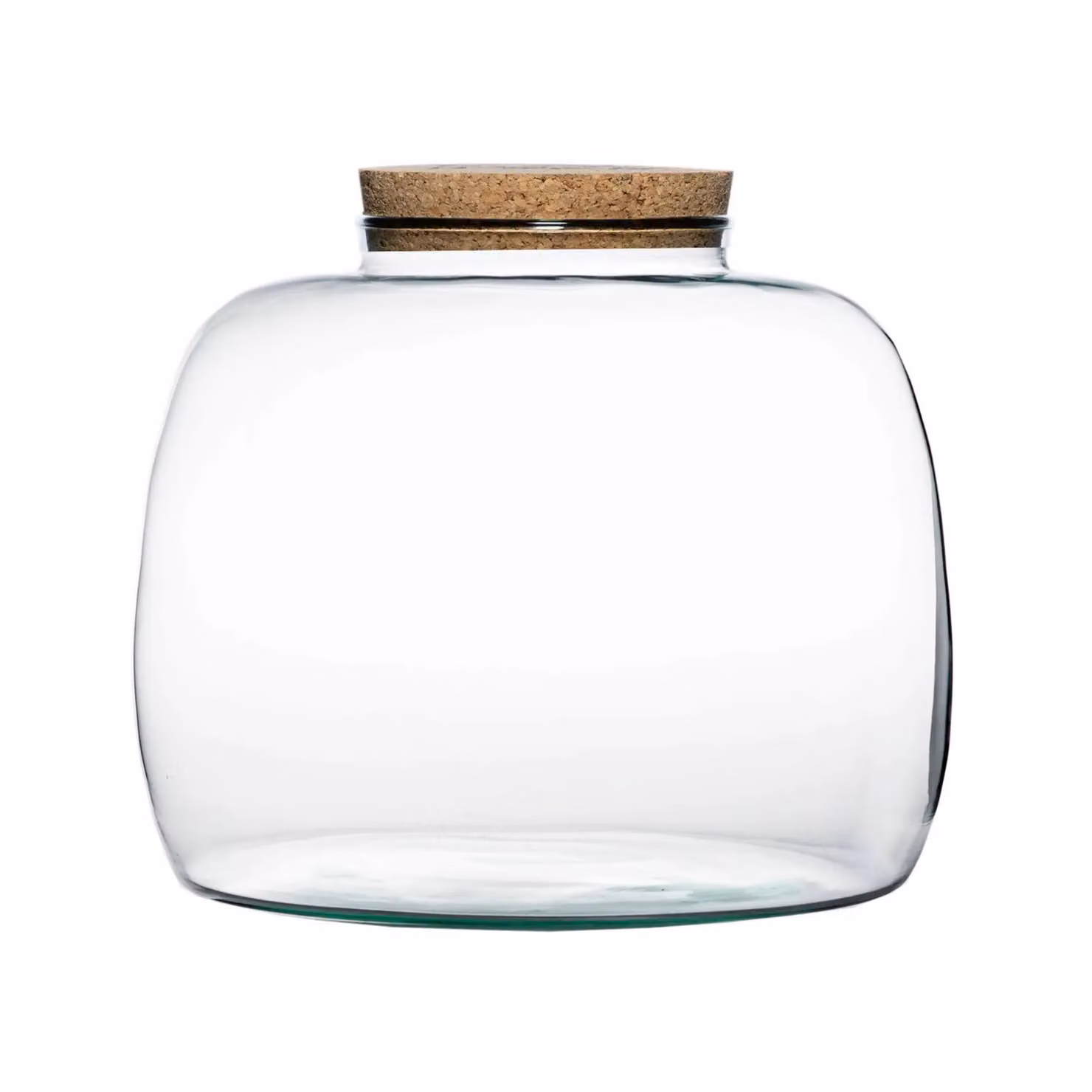 Ivyline Large Bowl Shape DIY Terrarium Kit in Clear Glass, H: 23 cm, D: 30 cm – 2
