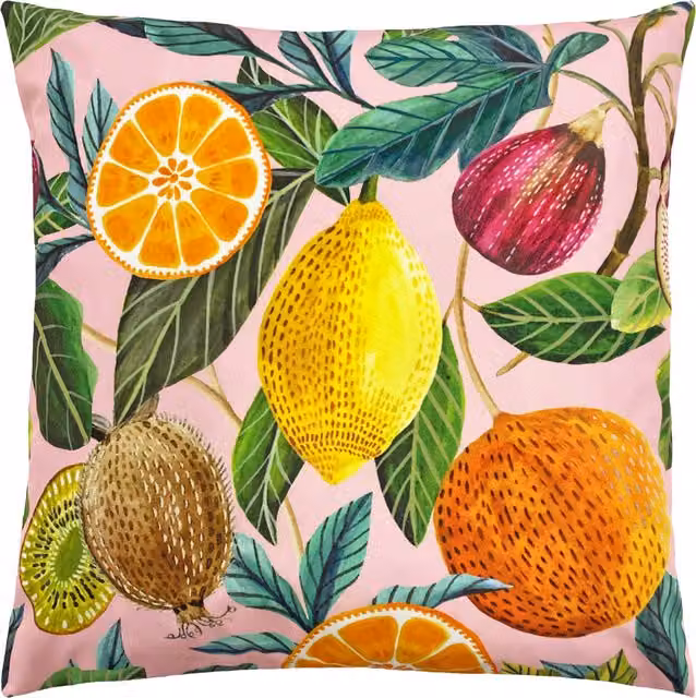 Make it a Home Citrus Fruits Graphic Outdoor Cushion Cover, Multicolour and Pink