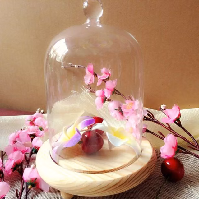 Livingandhome Round Glass Dome Cover with White Wood Base, Diameter: 18 cm