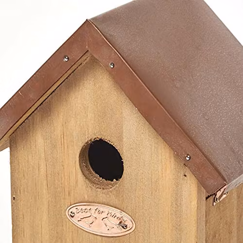 Homescapes Wooden Blue Tit Nesting Box with Copper Roof in Brown, H 25.8 cm x W 16 cm x D 13.8 cm – 2