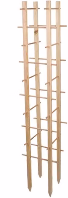 Primrose Wooden Square Wall-Mounted Trellis and Plant Support, Height: 182 cm