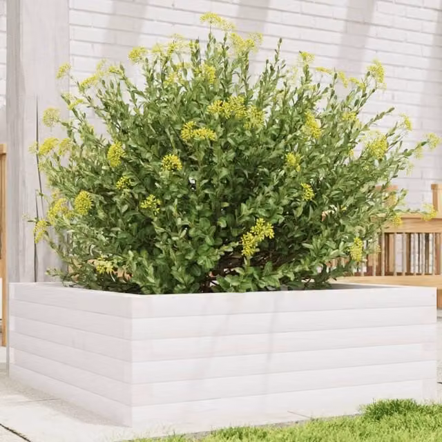 Berkfield Home White Solid Wood Pine Garden Planter Tub W: 70 cm, D: 70 cm, H: 23 cm