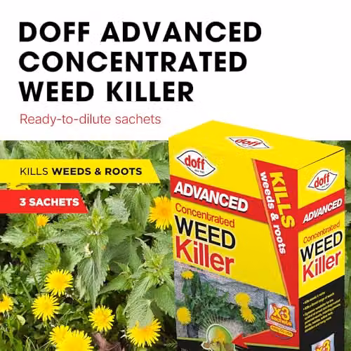 Doff Advanced Concentrated Weedkiller 3 x 80ml sachets – 2